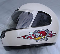 Woodpecker graphics on helmet