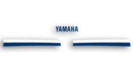 1984 RZ350 Canadian Model