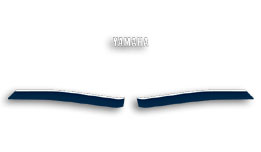 1985 RZ350 upper fairing decal set