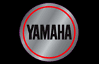 Yamaha Brake Caliper